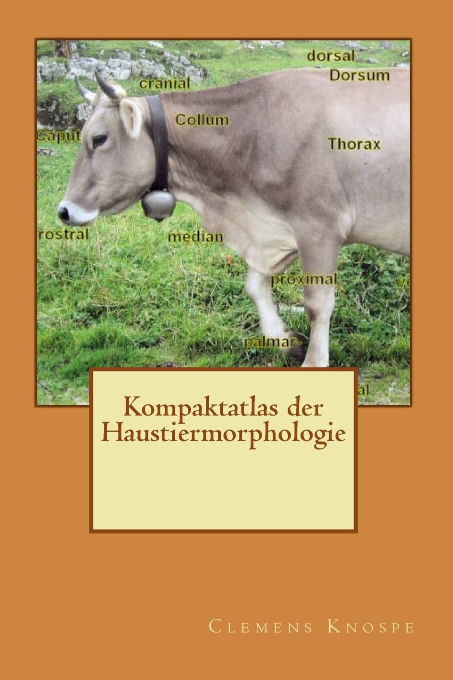 Kompaktatlas der Haustiermorphologie Medicine