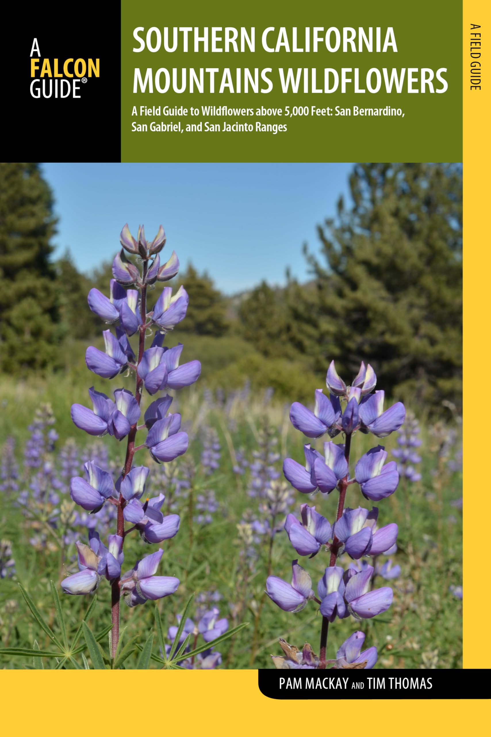 Southern California Mountains Wildflowers: A Field Guide to Wildflowers of the Southern California Mountains above 5,000 Feet, with Emphasis on the San Bernardino, San Gabriel, and San Jacinto Ranges Garden & Plants