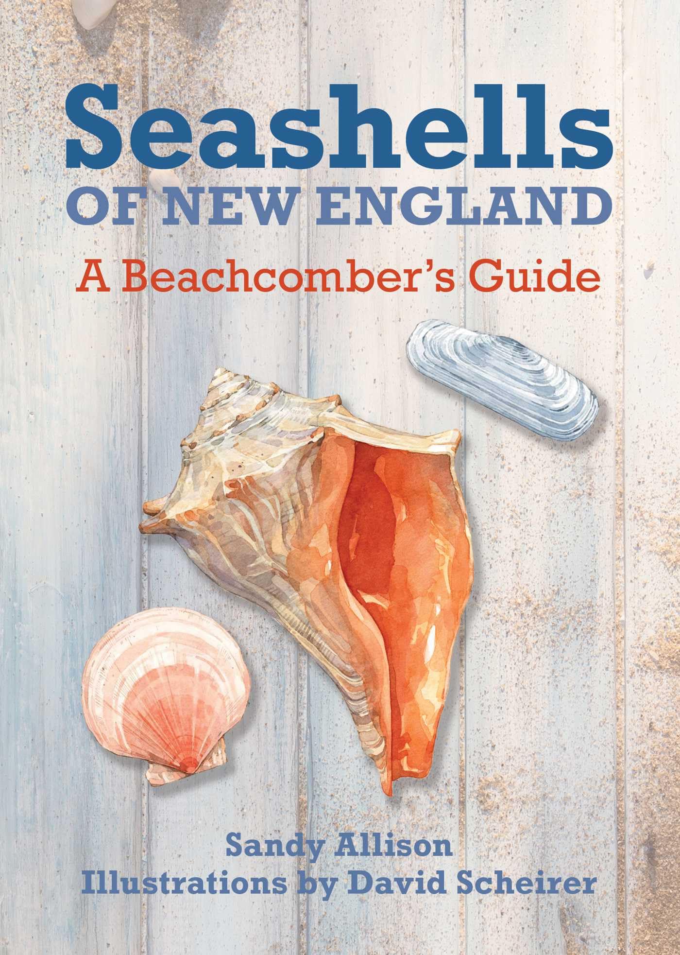 Product Image: Seashells of New England