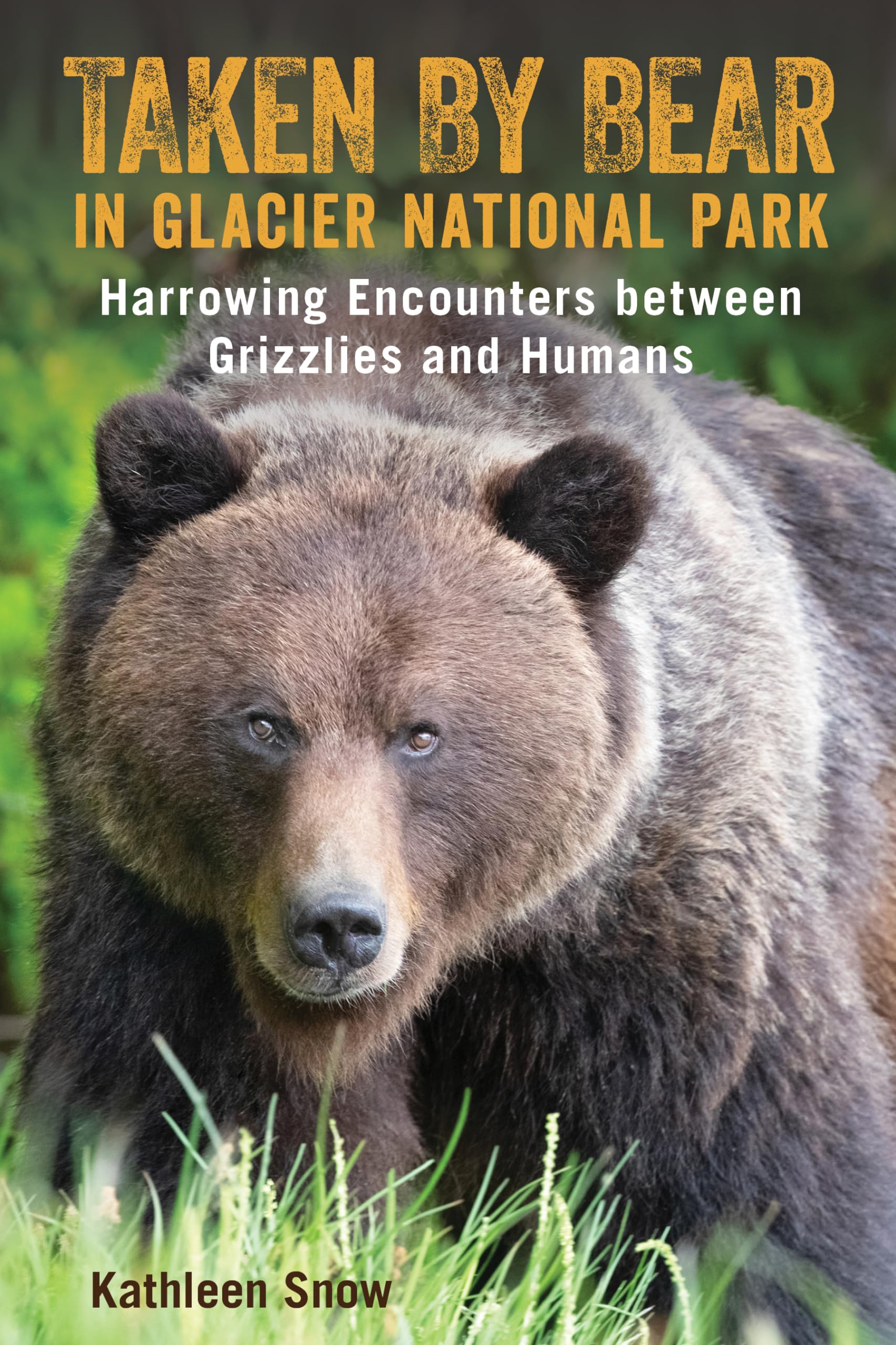 Taken By Bear in Glacier National Park: Harrowing Encounters between Grizzlies and Humans Leisure, Home & Garden