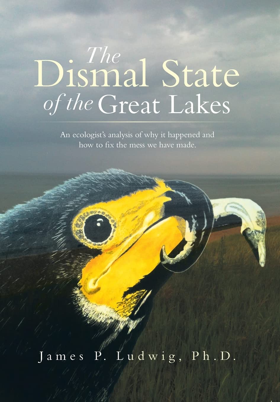The Dismal State of the Great Lakes: An Ecologist’s Analysis of Why It Happened, and How to Fix the Mess We Have Made. Geology & Geography