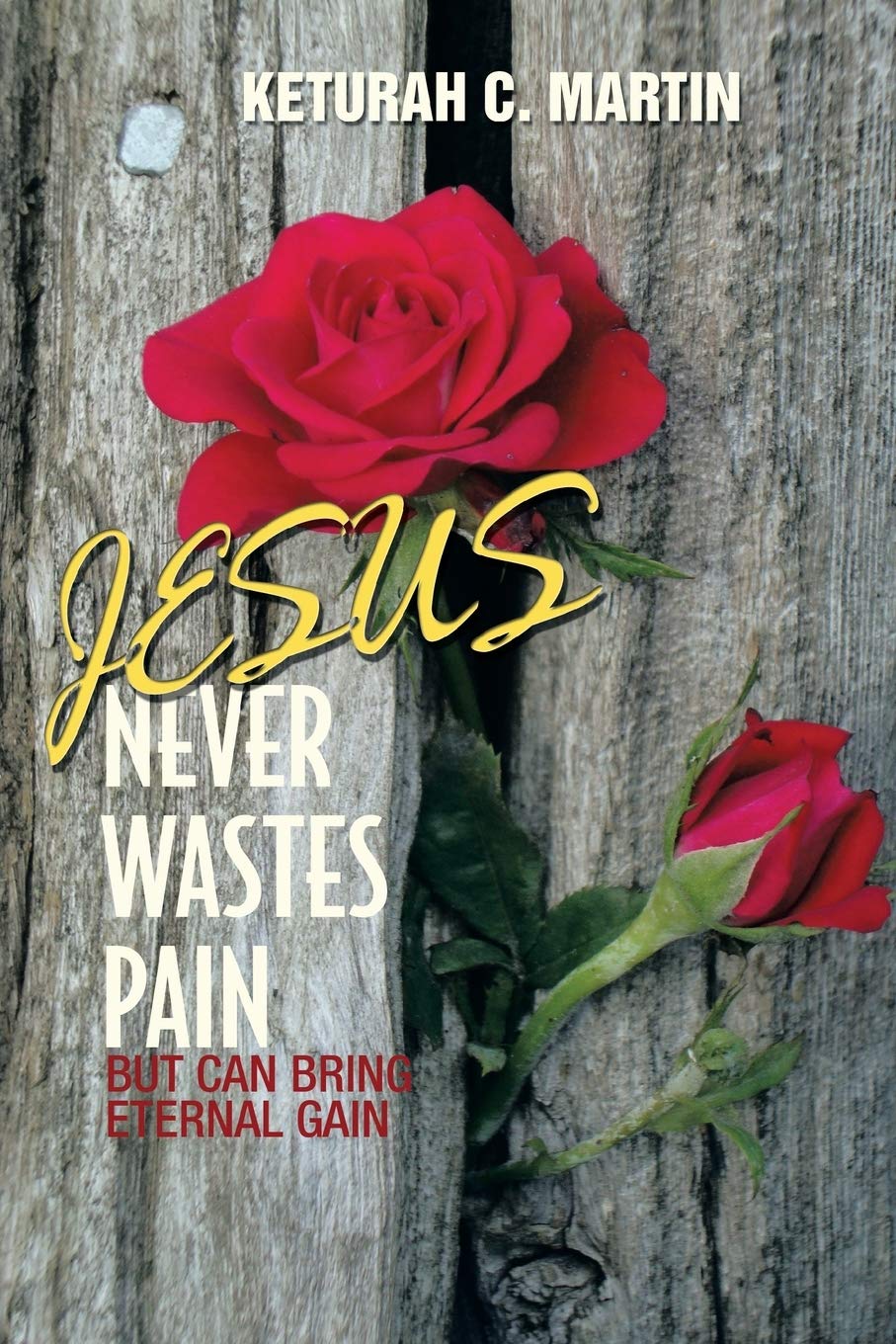 Jesus Never Wastes Pain: But Can Bring Eternal Gain Self-help
