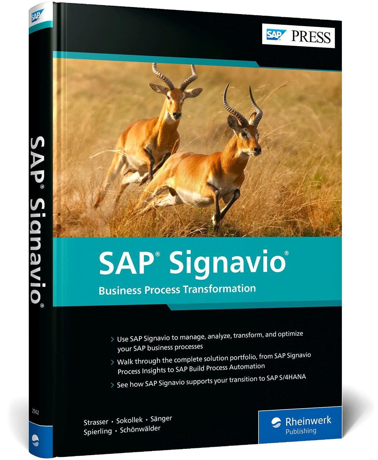 Product Image: SAP Signavio