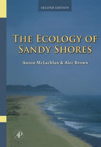 The Ecology of Sandy Shores Mathematics