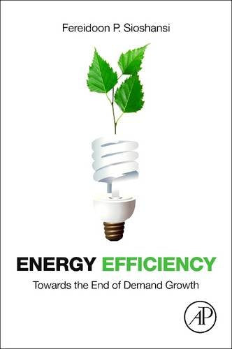 Energy Efficiency: Towards the End of Demand Growth Business, Finance & Career
