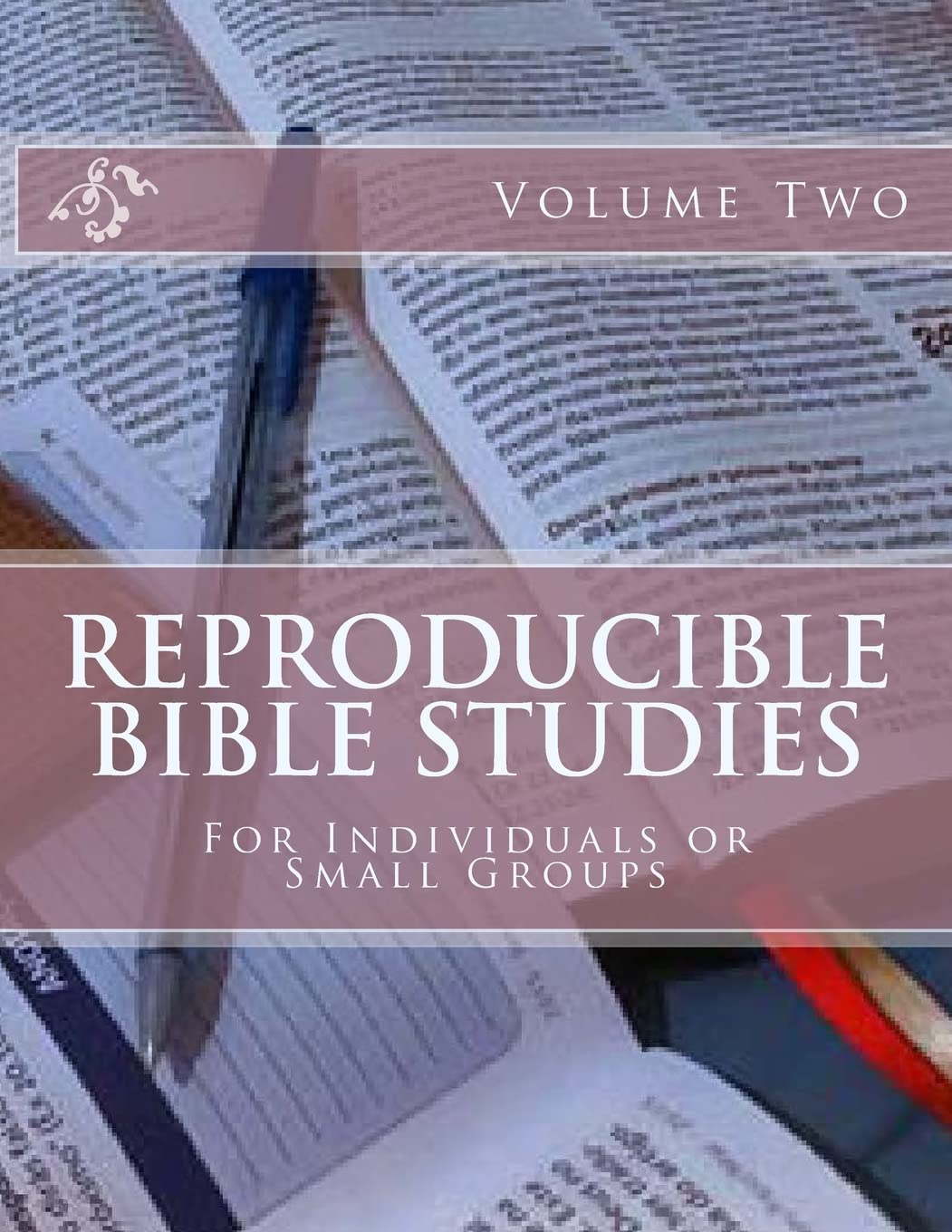 Reproducible Bible Studies: For Individuals or Small Groups Religion & Esotericism