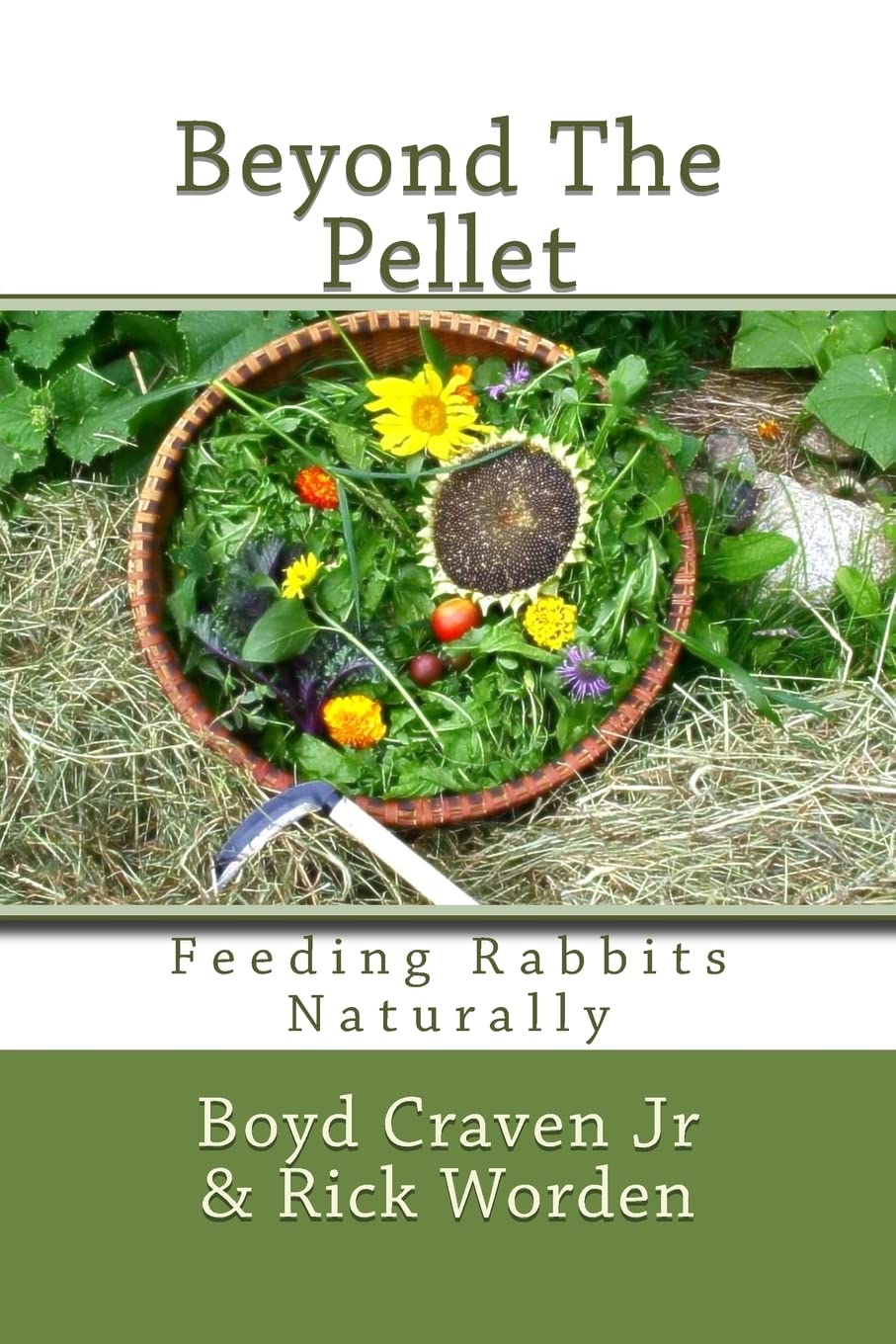 Beyond The Pellet: Feeding Rabbits Naturally (The Urban Rabbit Project, Band 2) Books