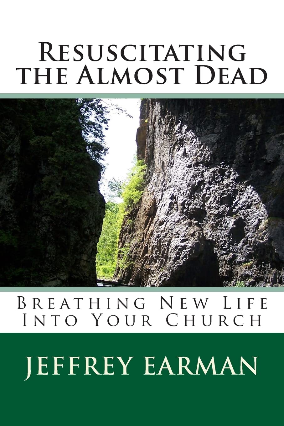 Resuscitating the Almost Dead: Breathing New Life Into Your Church Religion & Esotericism