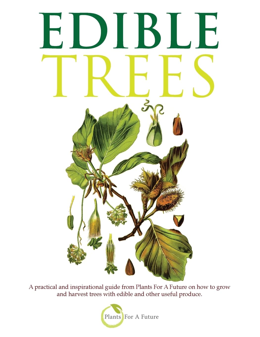 Edible Trees: A practical and inspirational guide from Plants For A Future on how to grow and harvest trees with edible and other useful produce. book