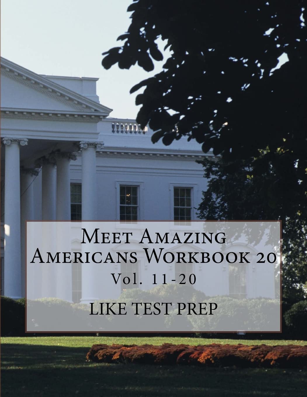 Meet Amazing Americans Workbook 20 (Meet Amazing Americans Workbook 10, Band 2) Politics & History