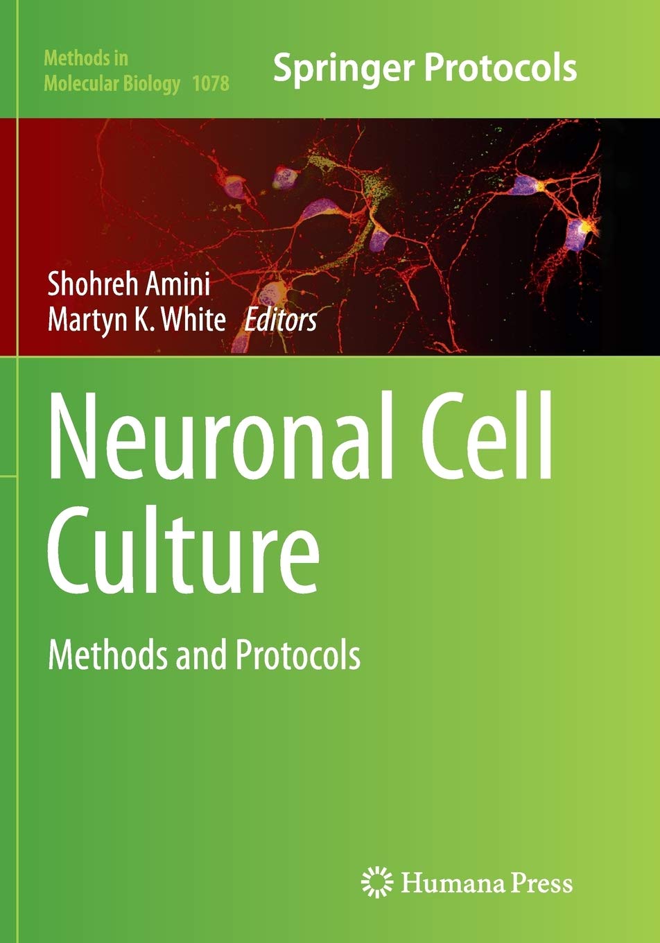 Neuronal Cell Culture: Methods and Protocols (Methods in Molecular Biology, Band 1078) Medicine