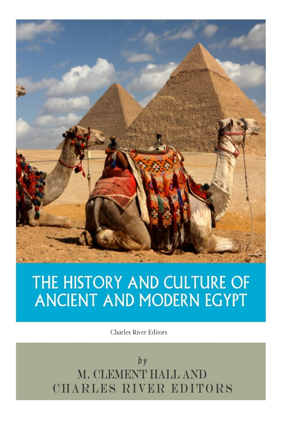 The History and Culture of Ancient and Modern Egypt Social Sciences