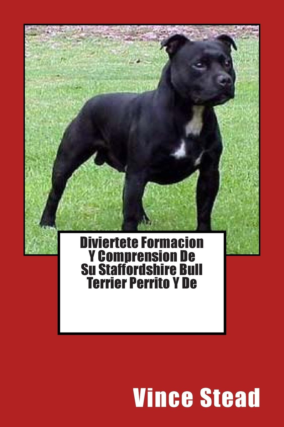 Diviertete Formacion Y Comprension De Su Staffordshire Bull Terrier Perrito Y De Pets