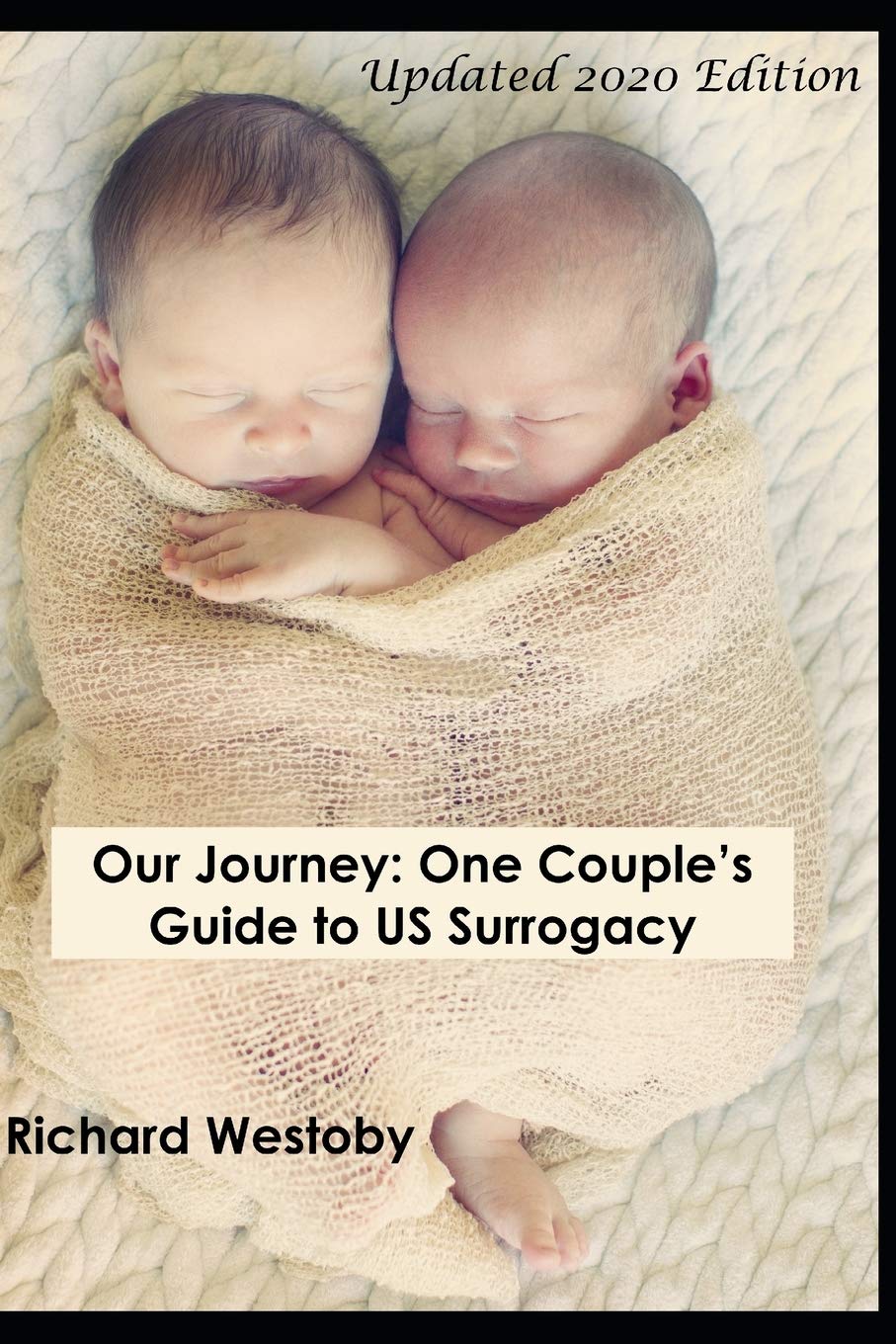 Our Journey: One Couple's Guide to U.S. Surrogacy book