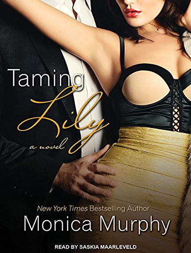 Taming Lily (Fowler Sisters, Band 3) Contemporary literature