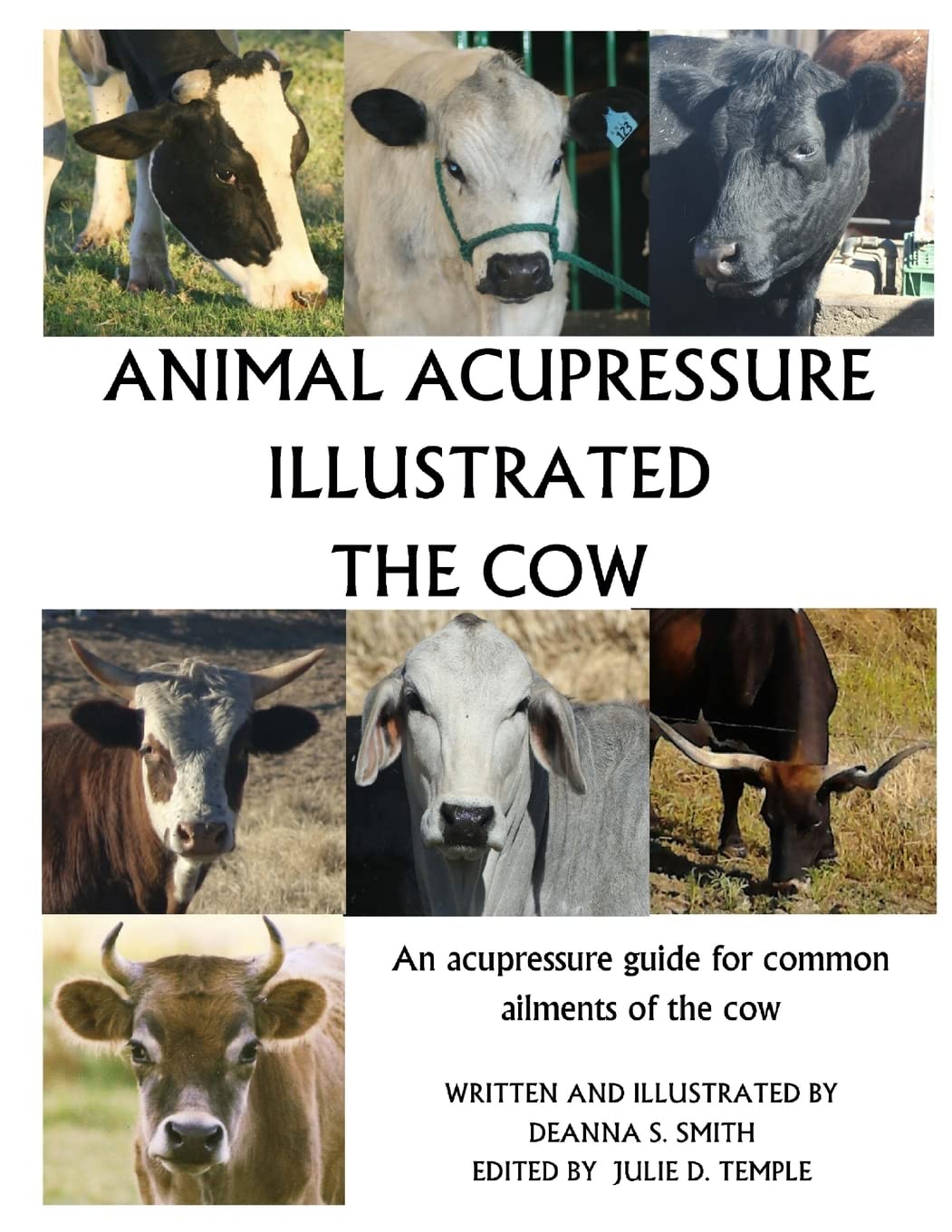 Animal Acupressure Illustrated The Cow Pets