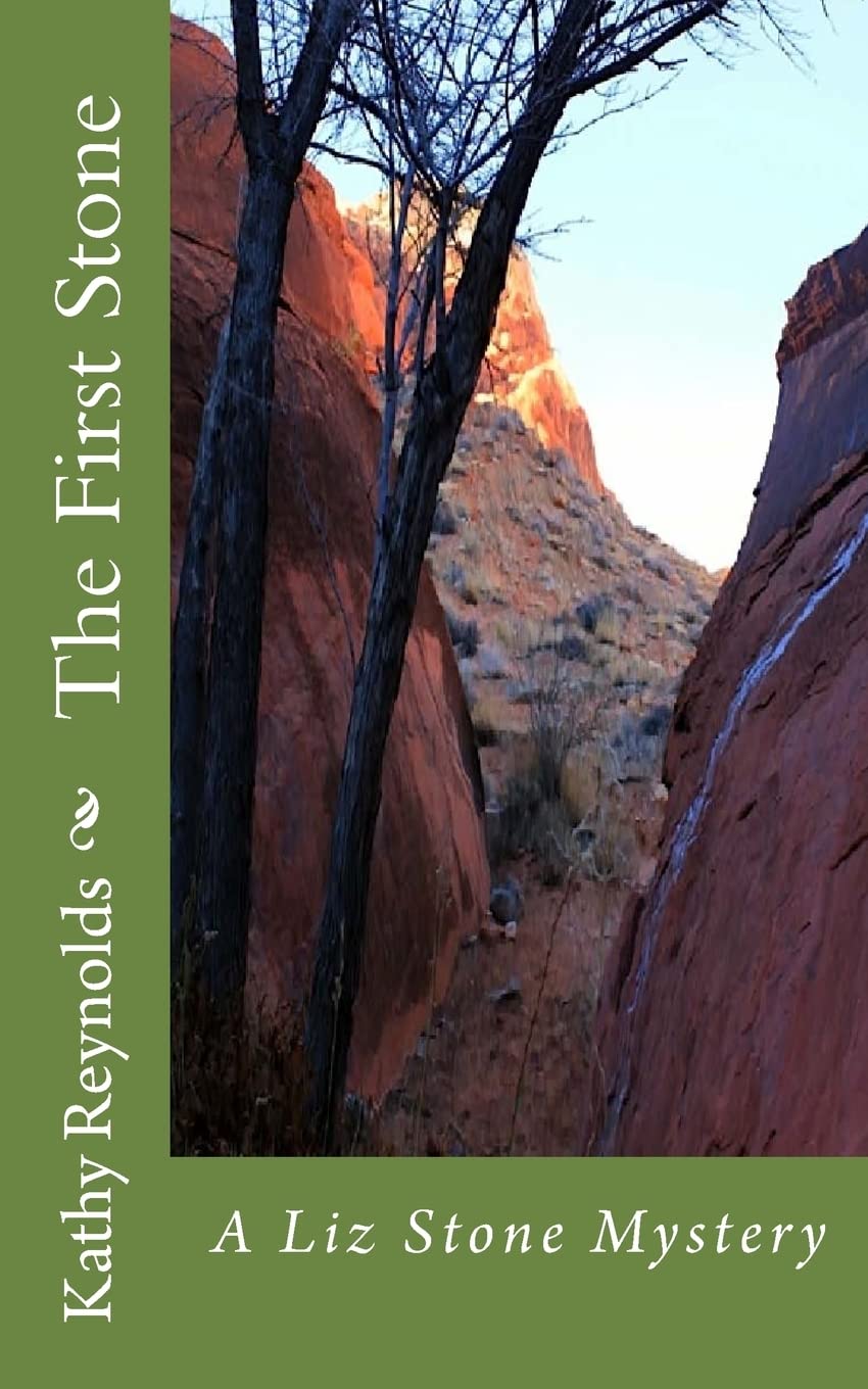 The First Stone: A Liz Stone Mystery Detective & CSI