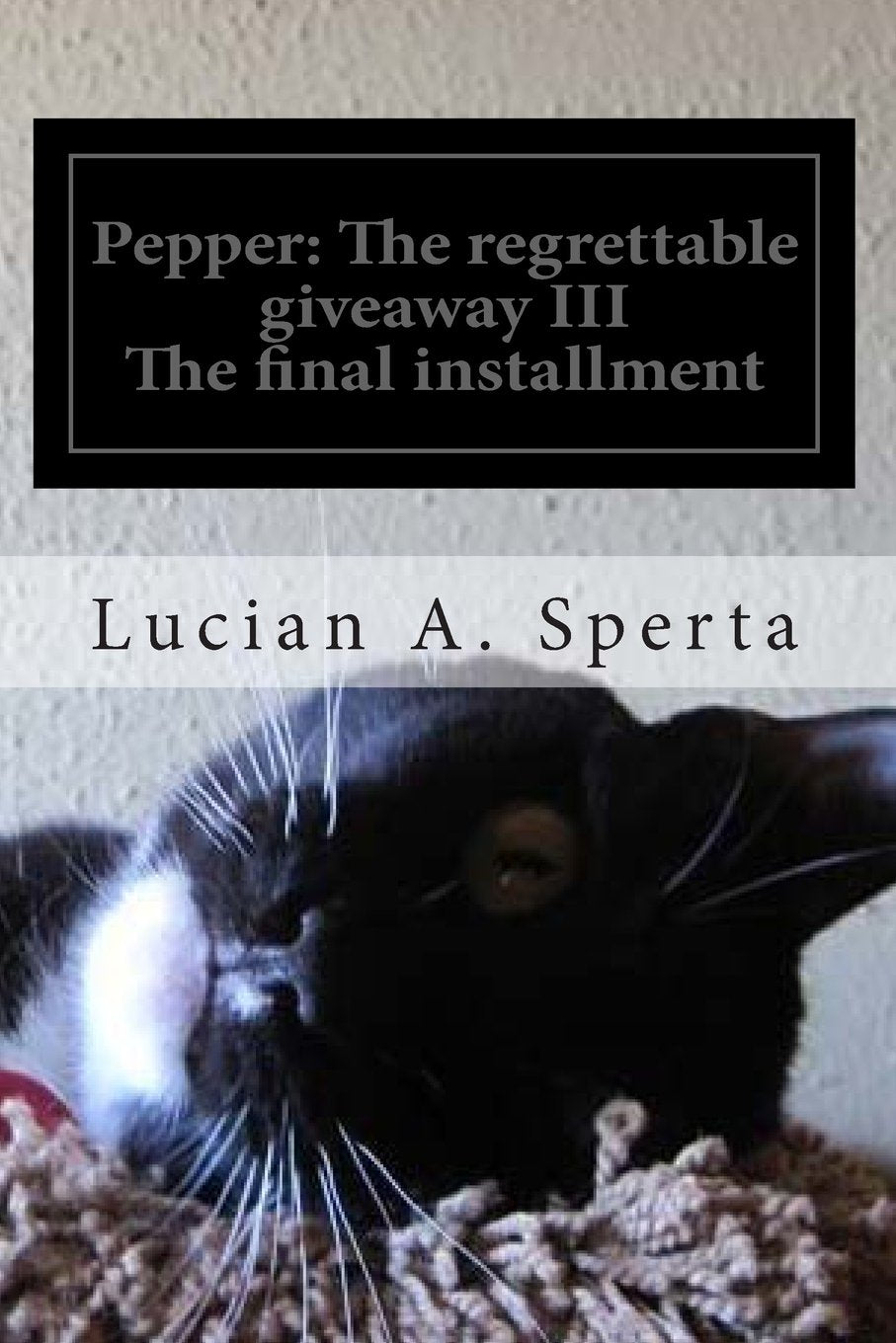 Pepper: The regrettable giveaway III: The on going journey and struggle with Post Traumatic Stress Disorder Memories