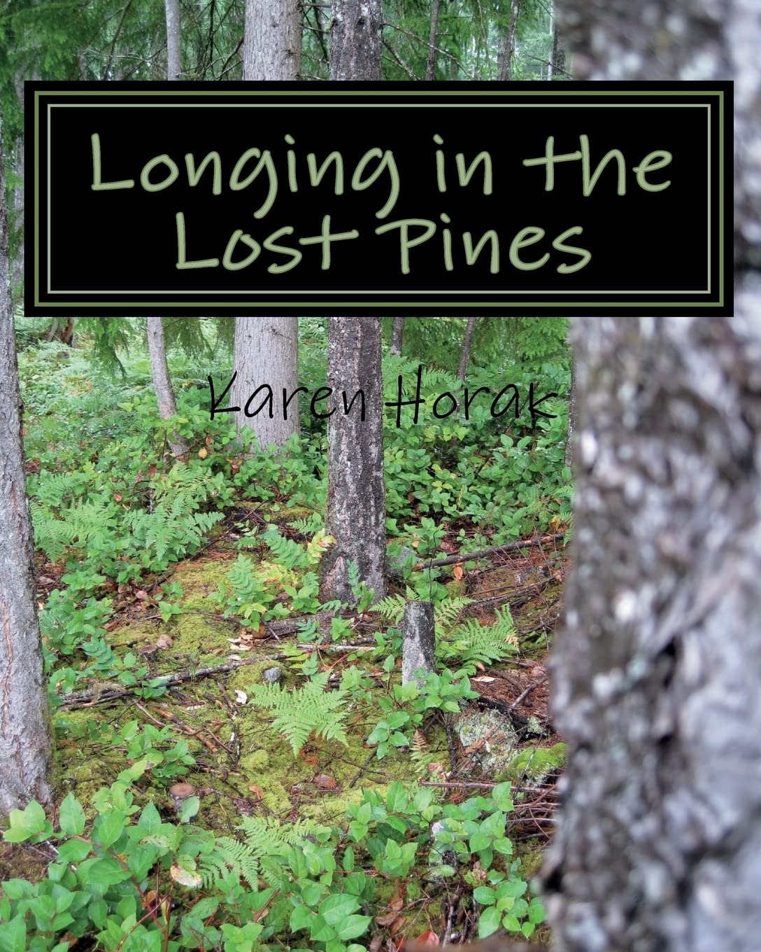 Longing in the Lost Pines (Excitement at Enchanted Rock, Band 4) Contemporary Romance