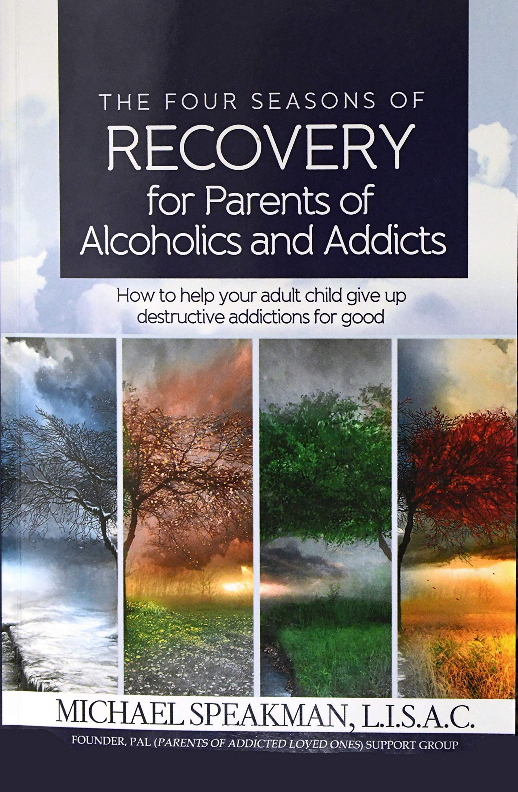 The Four Season of Recovery for Parents of Alcoholics and Addicts Books