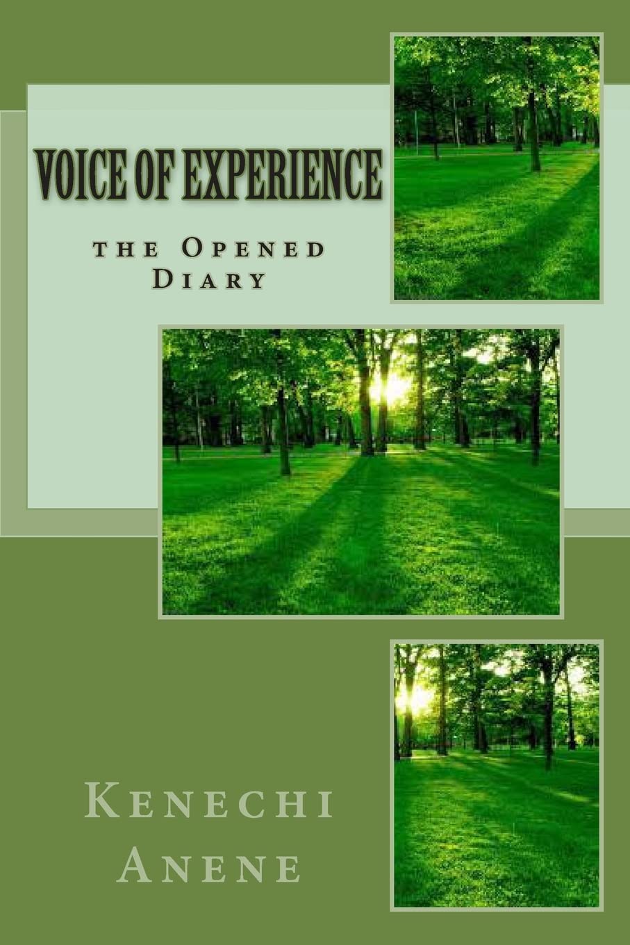 Voice of Experience: the Opened Diary Psychology
