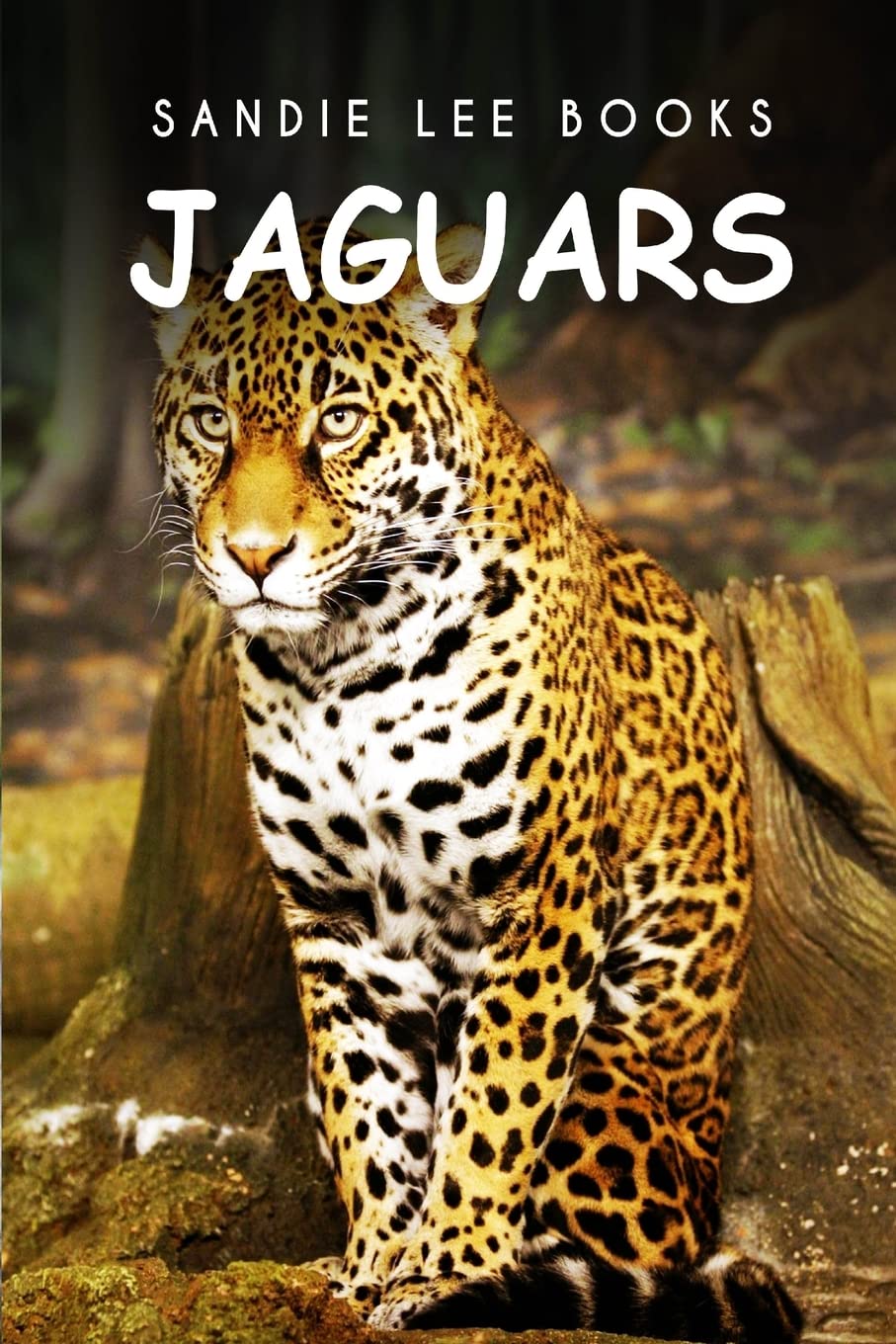 Jaguars - Sandie Lee Books Mathematics