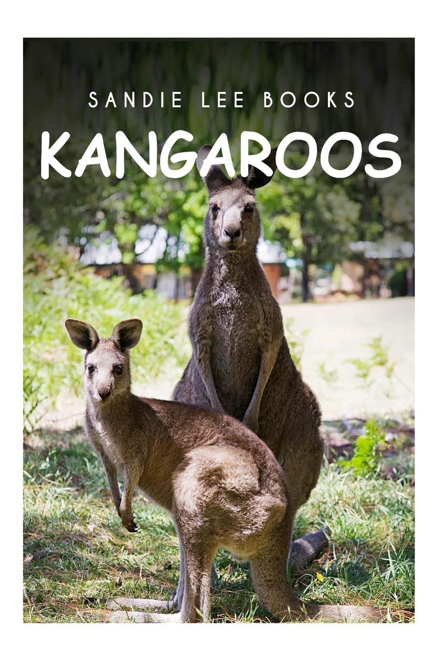 Kangaroos - Sandie Lee Books Mathematics