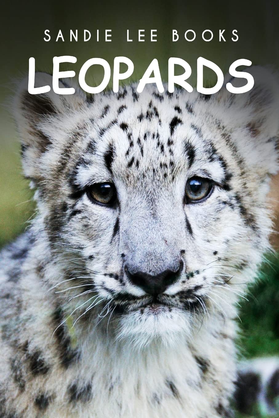 Leopards - Sandie Lee Books Mathematics