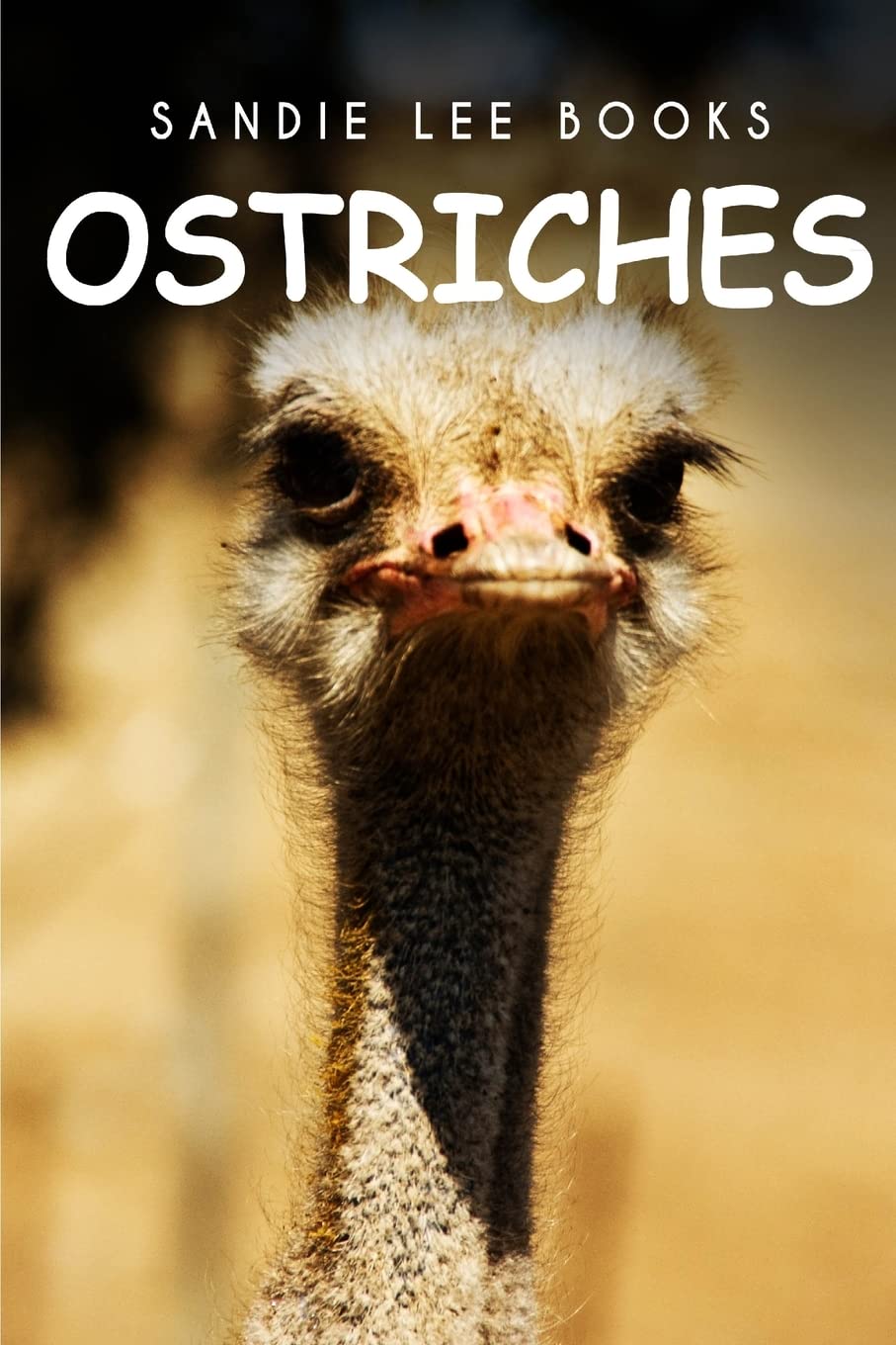 Ostriches - Sandie Lee Books Mathematics