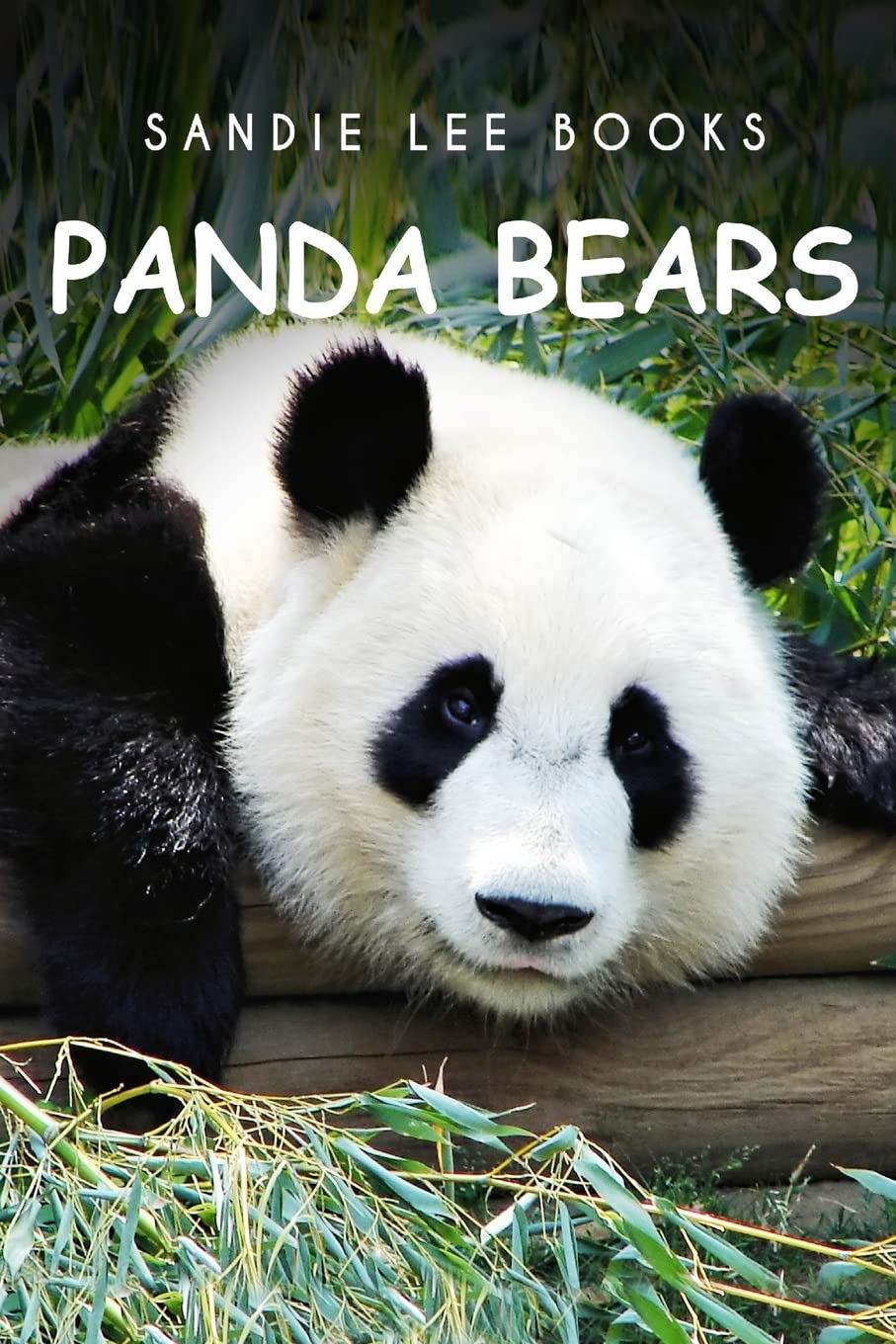 PandaBears - Sandie Lee Books Mathematics