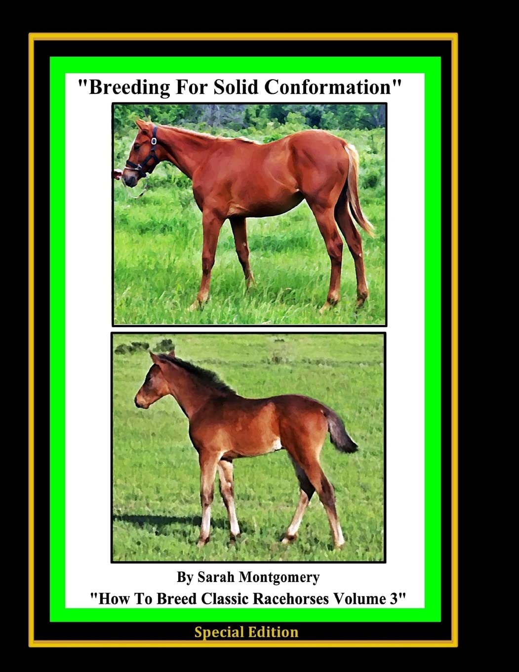 Breeding For Solid Conformation (How to Breed Classic Racehorses, Band 3) Leisure & Fun