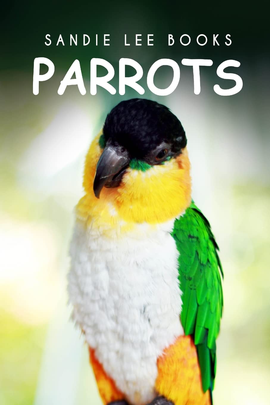 Parrots - Sandie Lee Books Mathematics