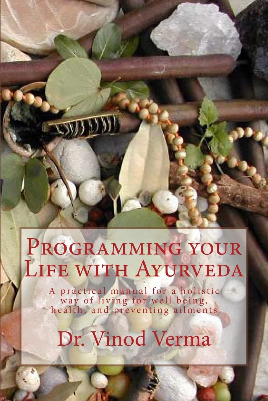 Programming your Life with Ayurveda: A practical manual for a holistic way of living for well being, health, and preventing ailments Health, Nutrition & Fitness