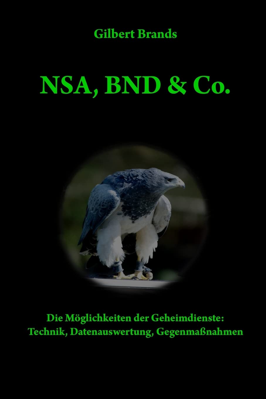 NSA, BND & Co.: Die Möglichkeiten der Geheimdienste: Technik, Auswertung, Gegenmaßnahmen (Techniken der Nachrichtendienste, Band 1) Computer Science