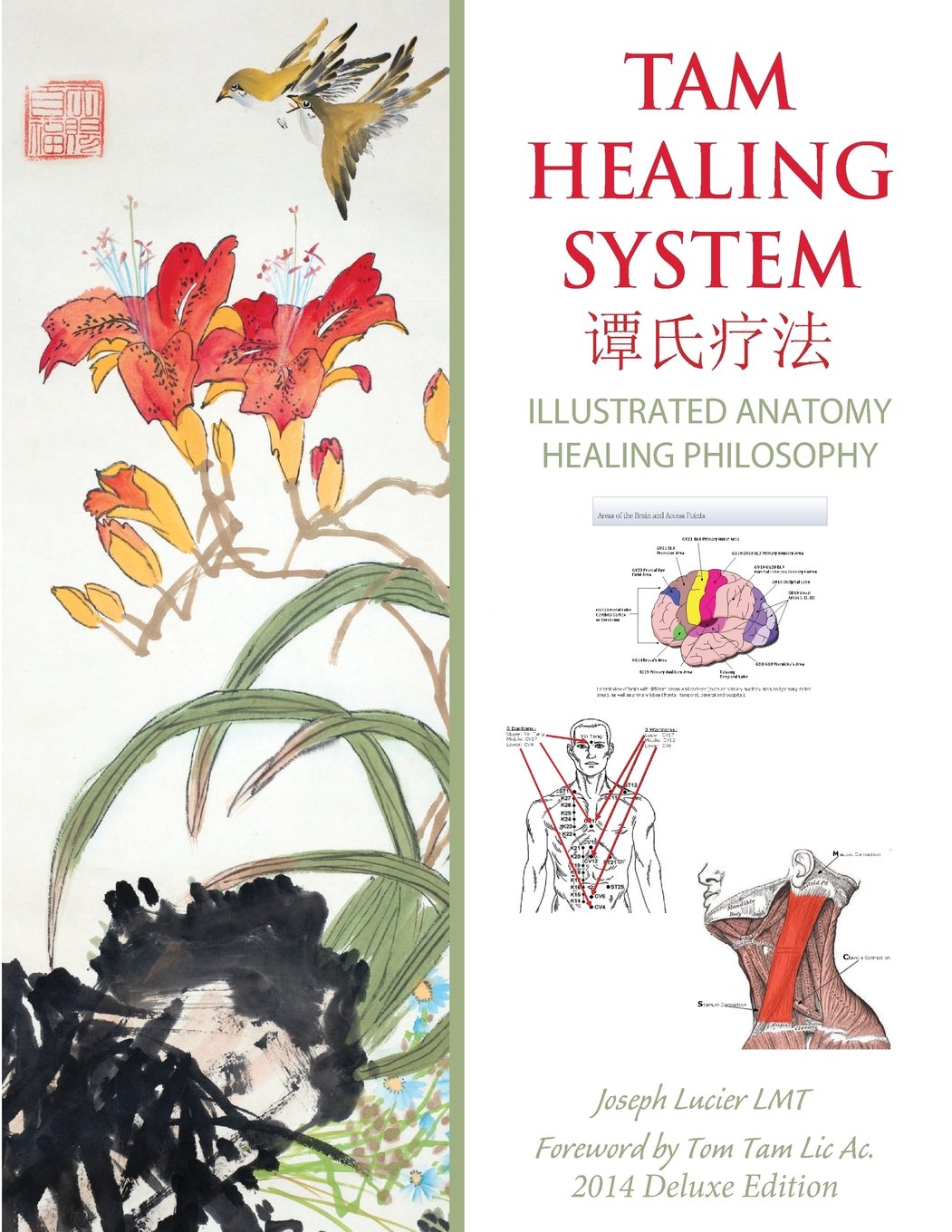 Tam Healing System - Illustrated Anatomy - Deluxe Edition - Black and White: Healing Philosophy and Point Location Health, Nutrition & Fitness