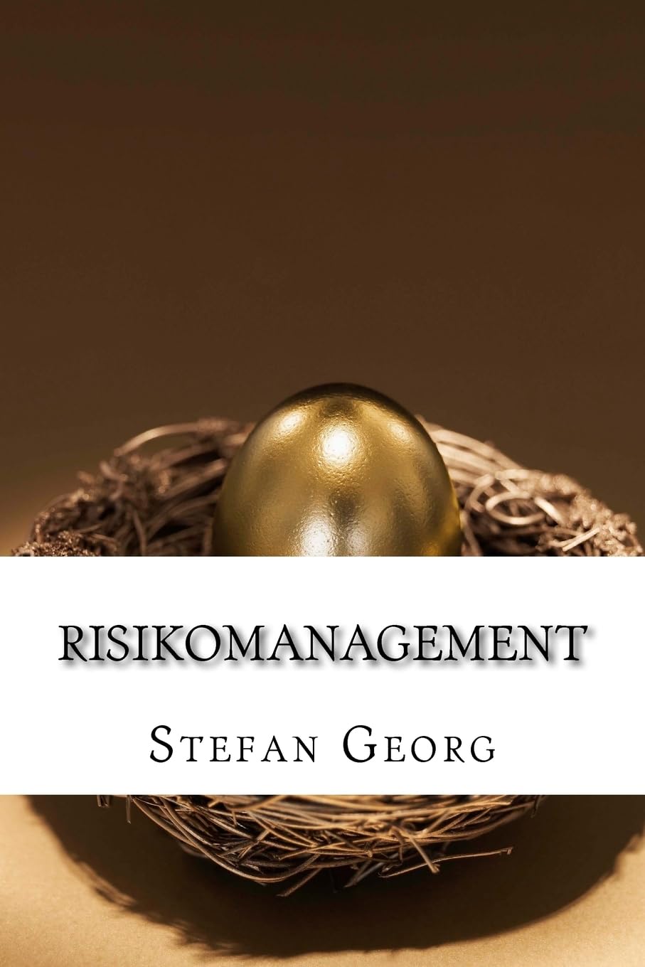 Risikomanagement: Grundlagen, Instrumente, Anwendungen Business, Finance & Career