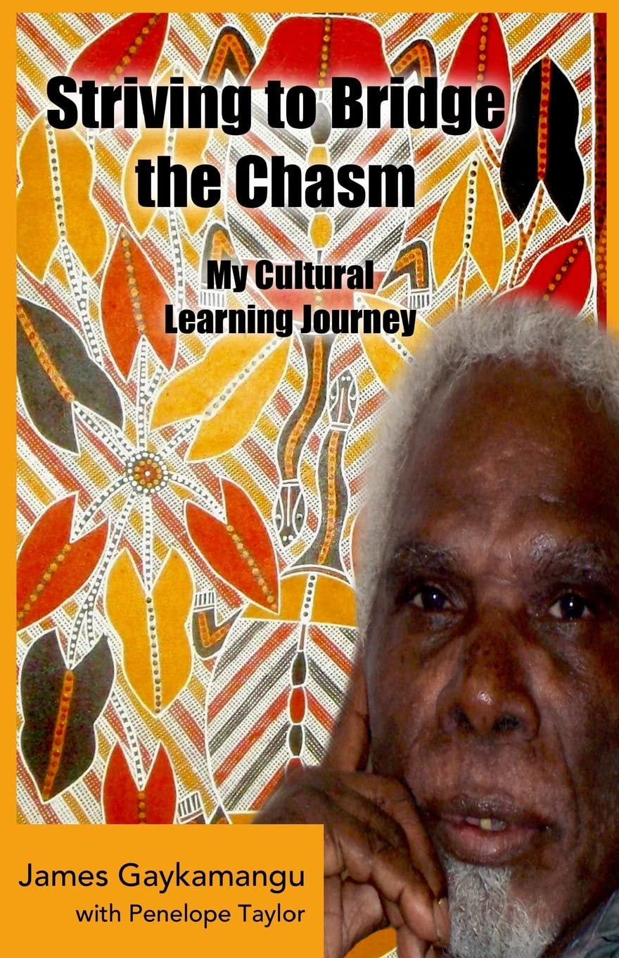 Striving to Bridge the Chasm: My Cultural Learning Journey Memories