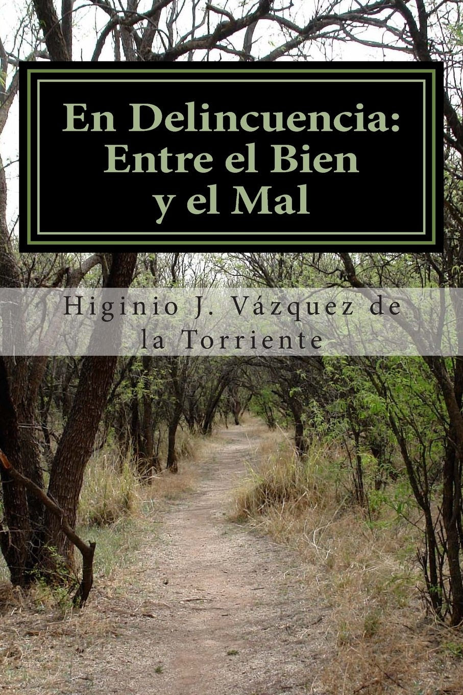 En Delincuencia: Entre el Bien y el Mal Self-help