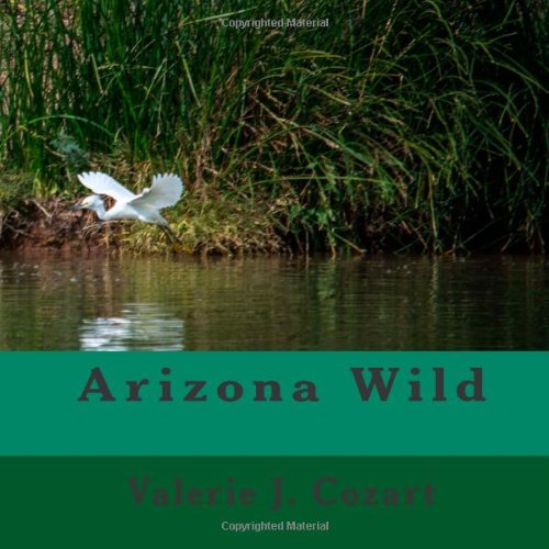 Arizona Wild Nature & Animals