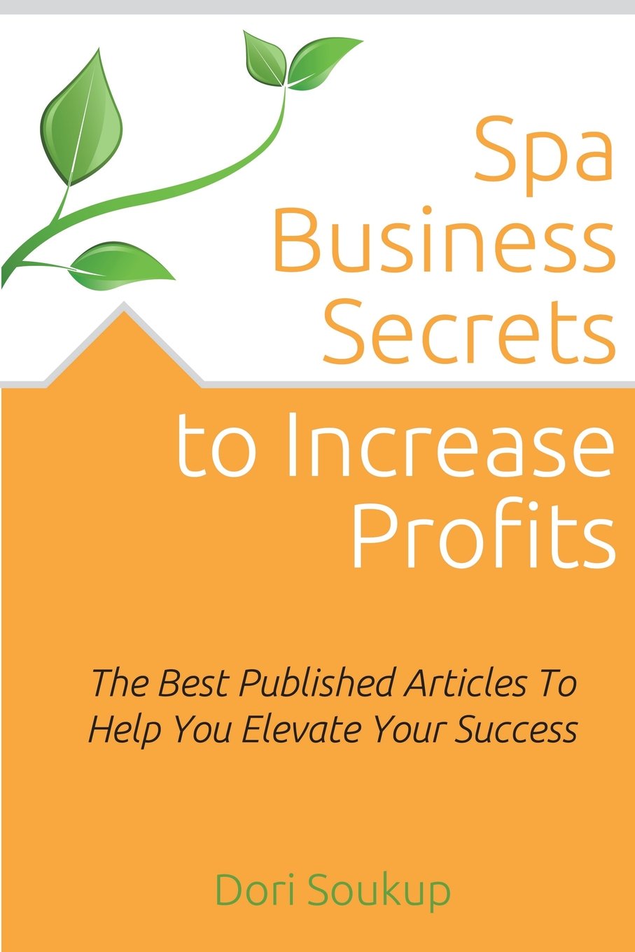 Spa Business Secrets To Increase Profits: The Best Published Business Articles To Elevate Your Success Business, Finance & Career