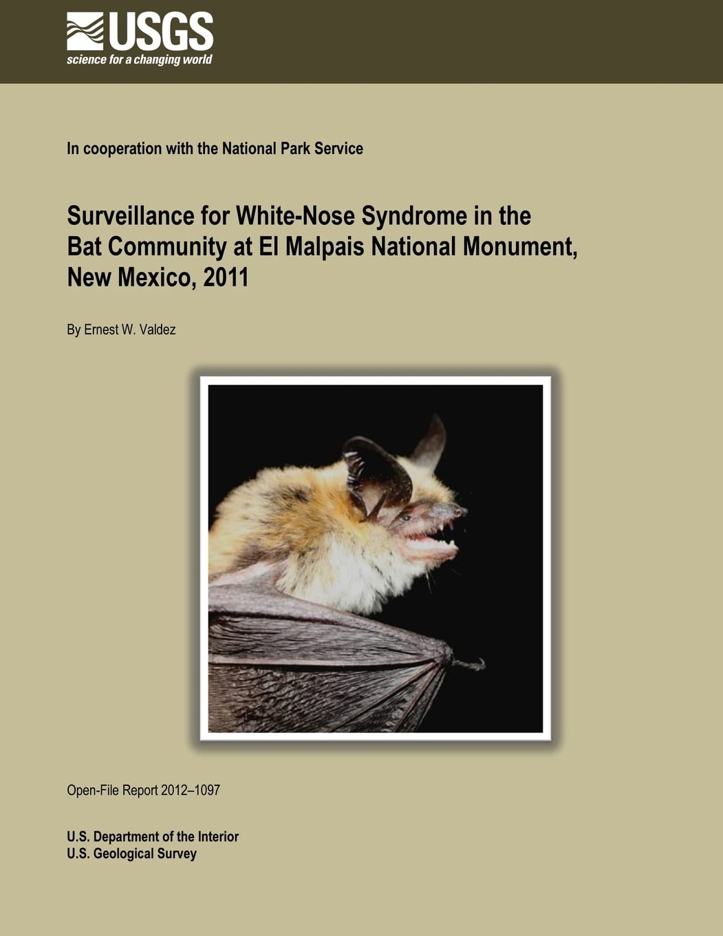 Surveillance for White-Nose Syndrome in the Bat Community at El Malpais National Monument, New Mexico, 2011 Reference Books