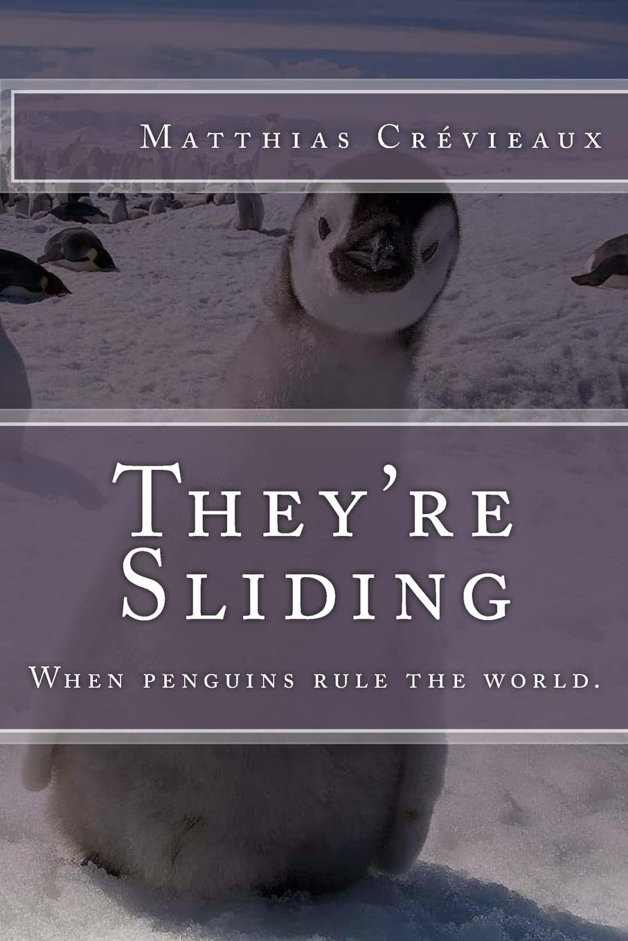 They're Sliding: When penguins rule the world. book