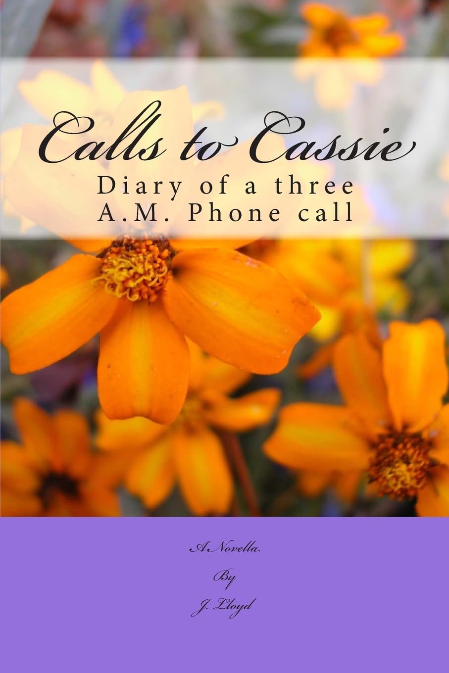 Calls to Cassie: Diary of a Three A.M. Phone Call Partnership & Love