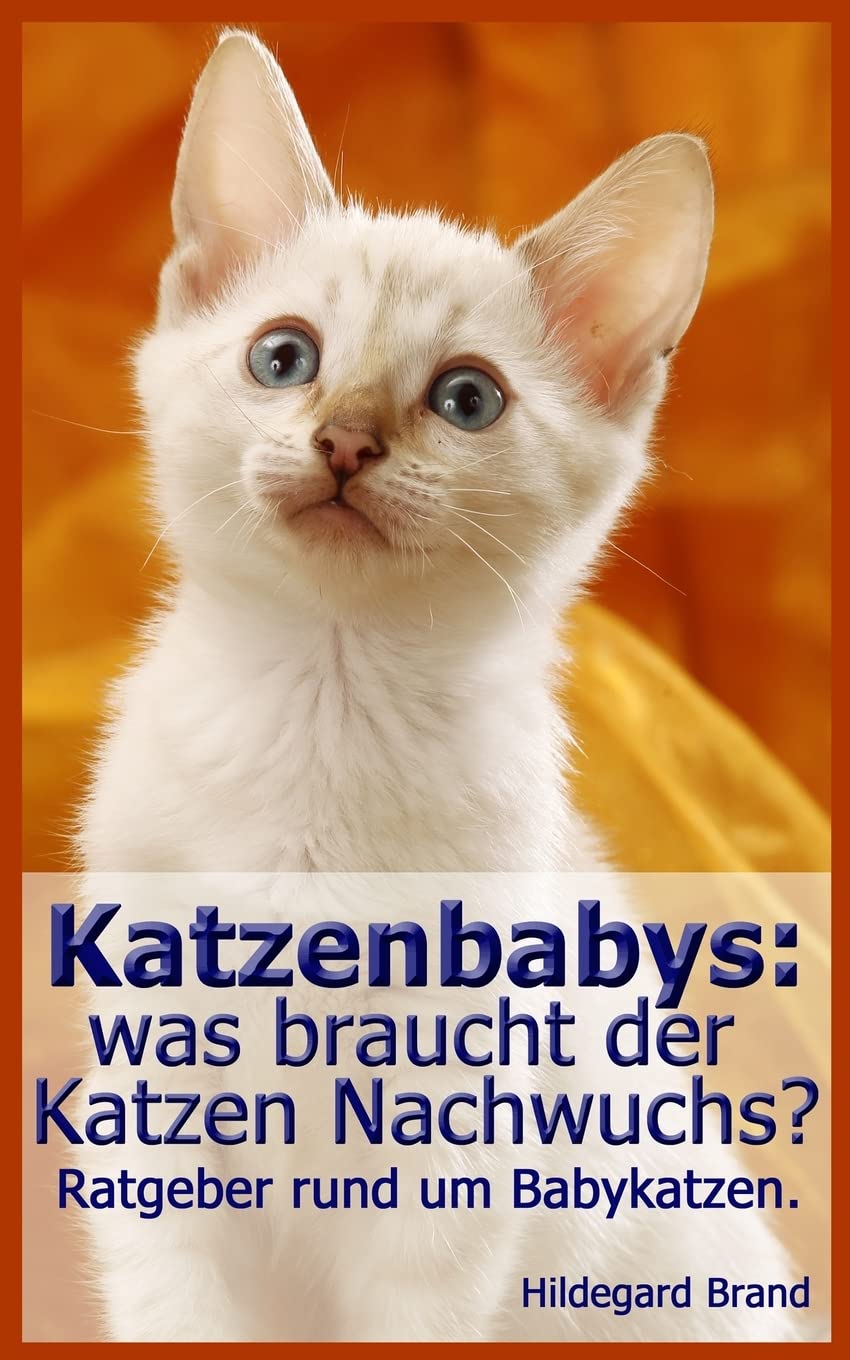 Katzenbabys: was braucht der Katzen Nachwuchs?: Ratgeber rund um Babykatzen. Pets