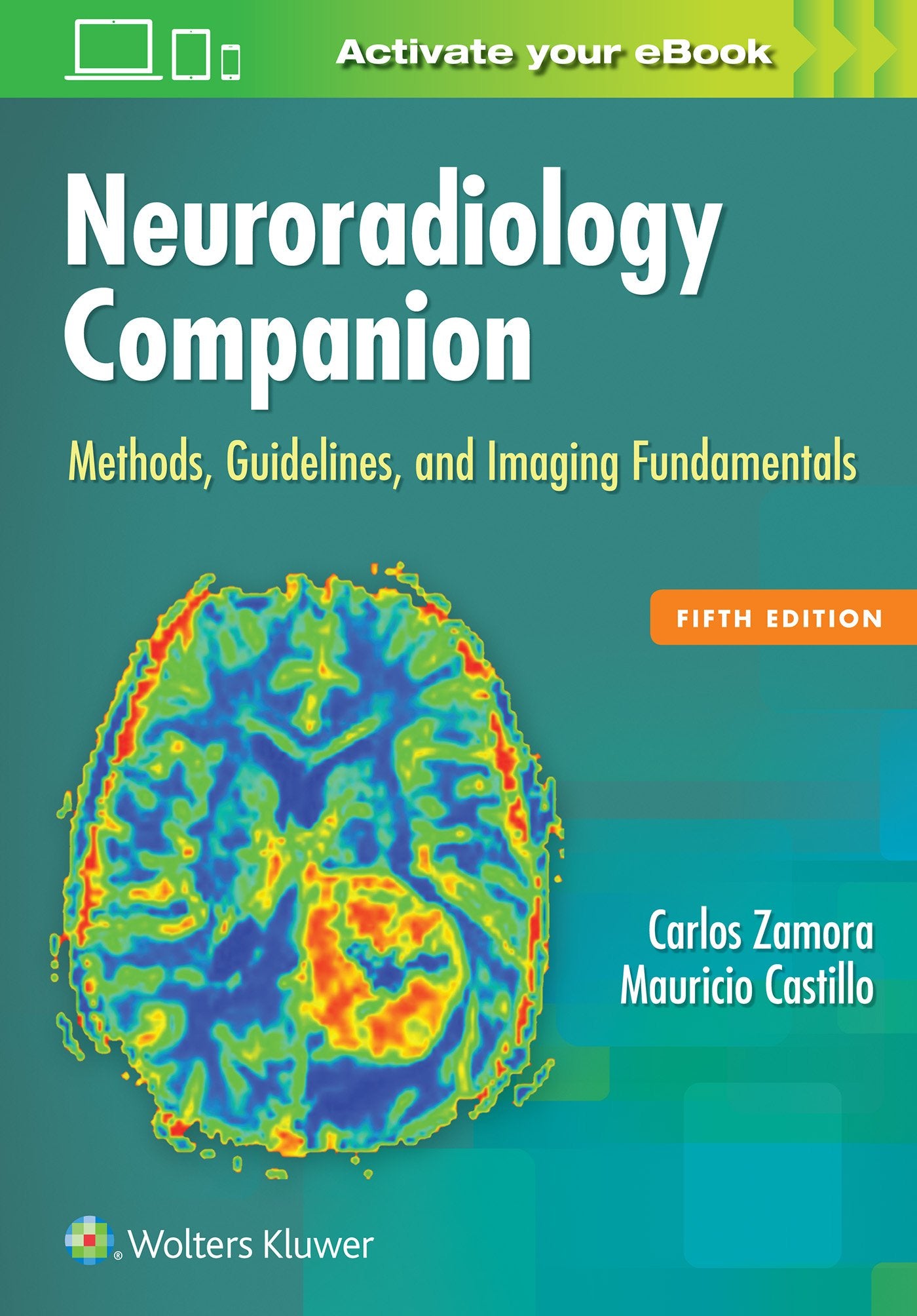 Neuroradiology Companion: Methods, Guidelines, and Imaging Fundamentals Medicine