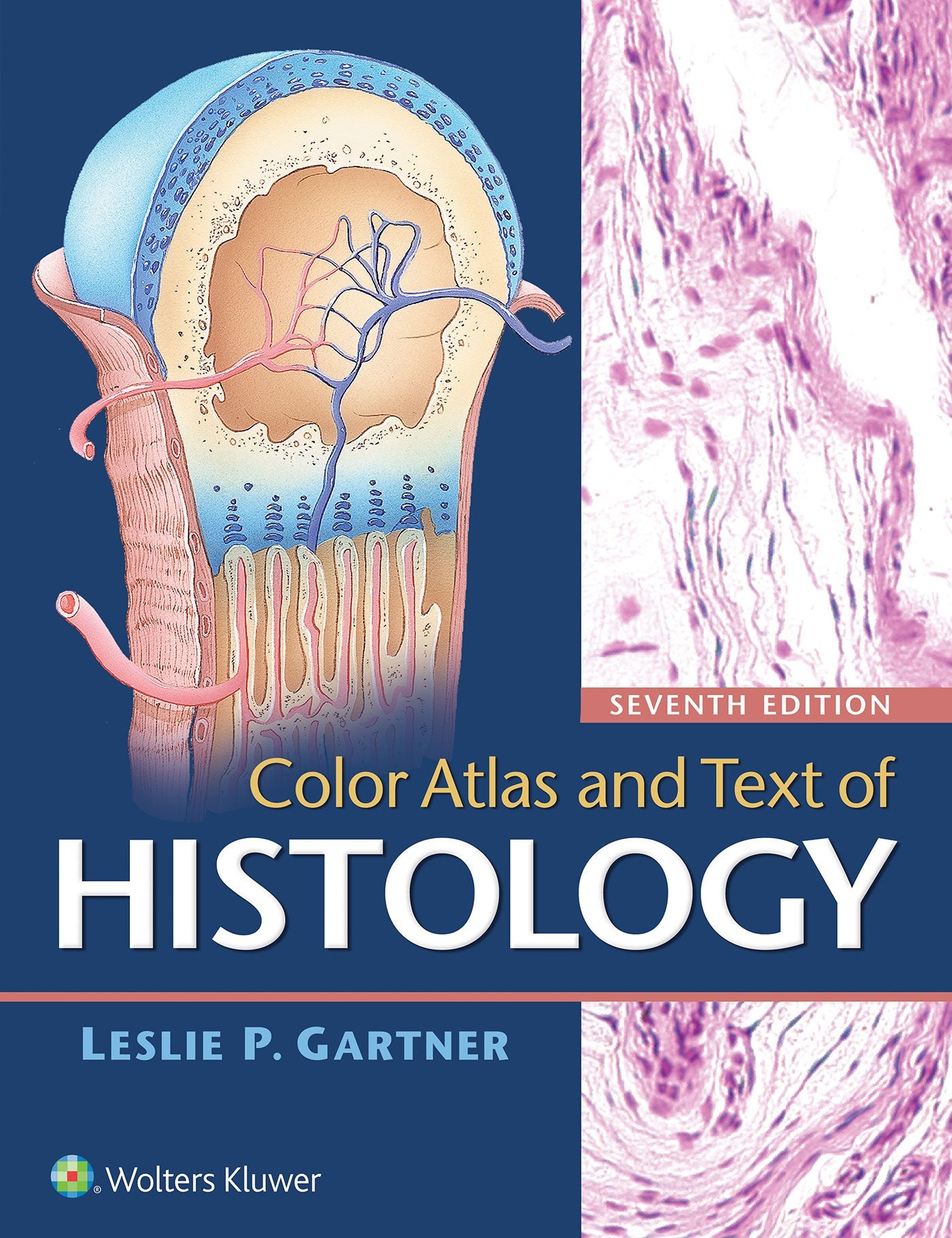 Color Atlas and Text of Histology Medicine
