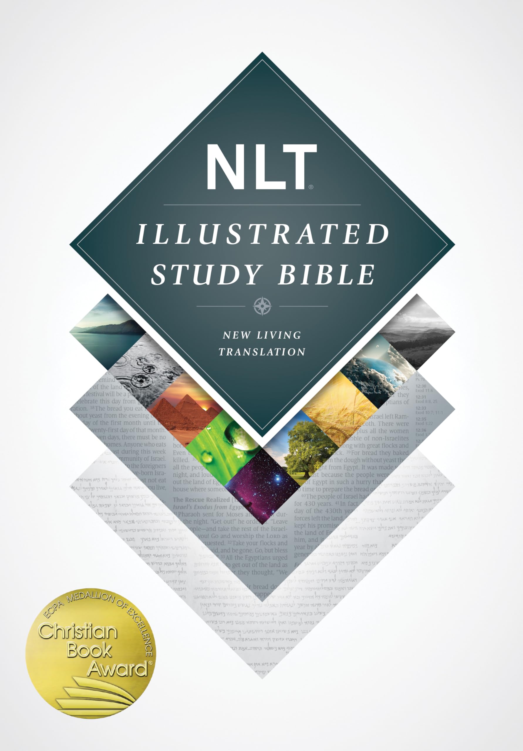 Illustrated Study Bible-NLT Film, Art & Culture