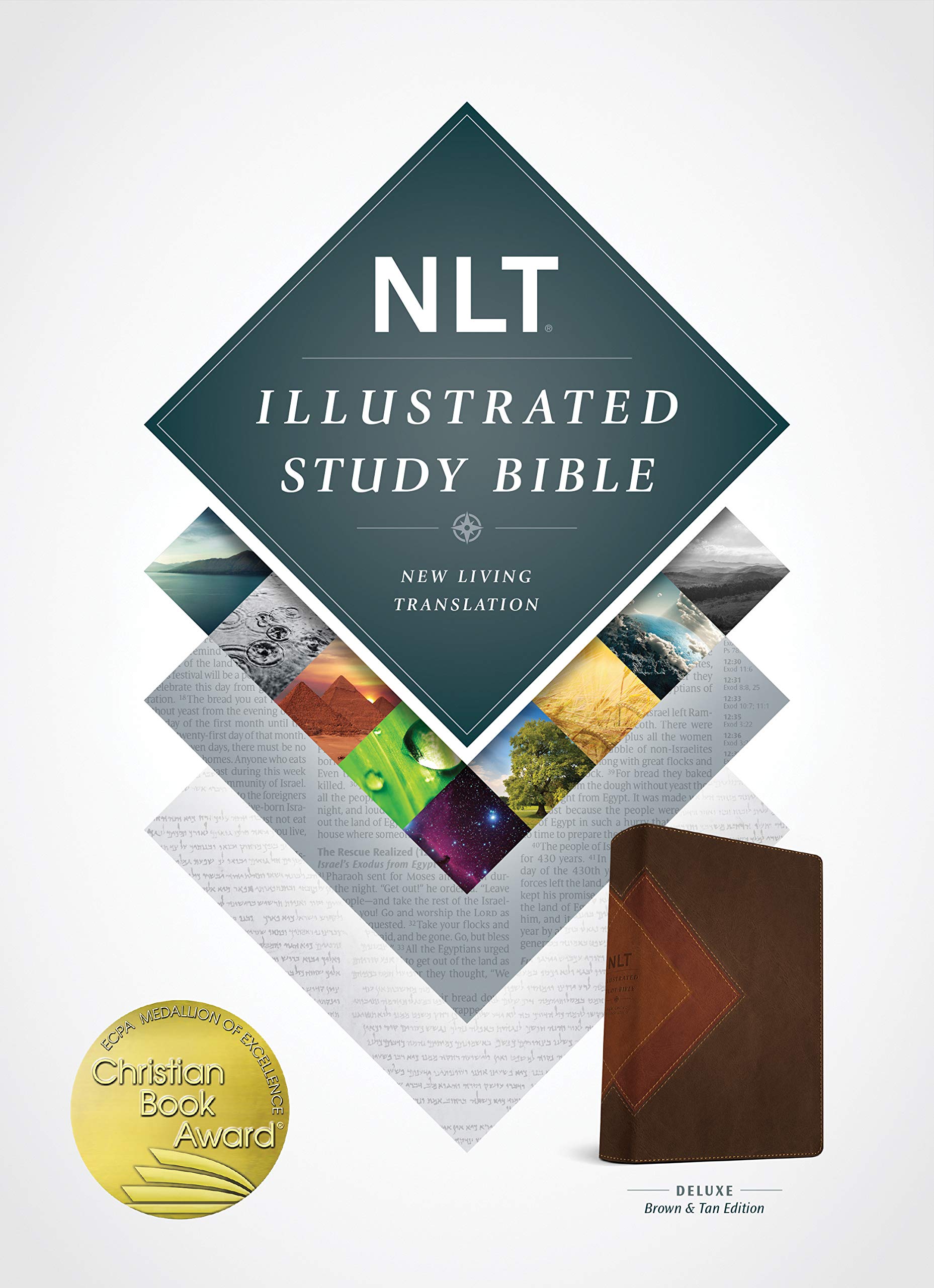Illustrated Study Bible-NLT Second hand books on Religion & Esotericism