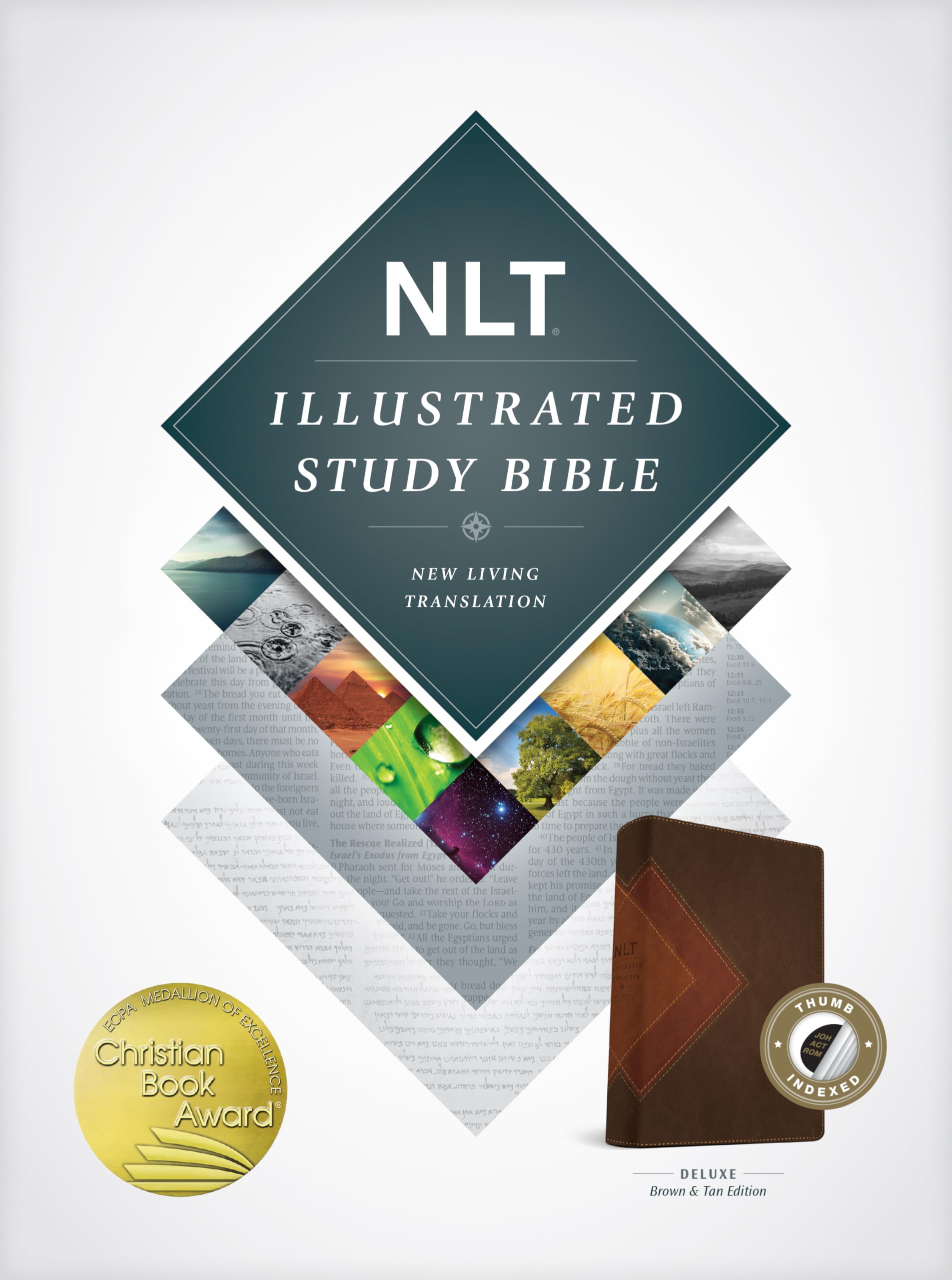 Illustrated Study Bible: New Living Translation, Tutone Brown & Tan Religion & Esotericism