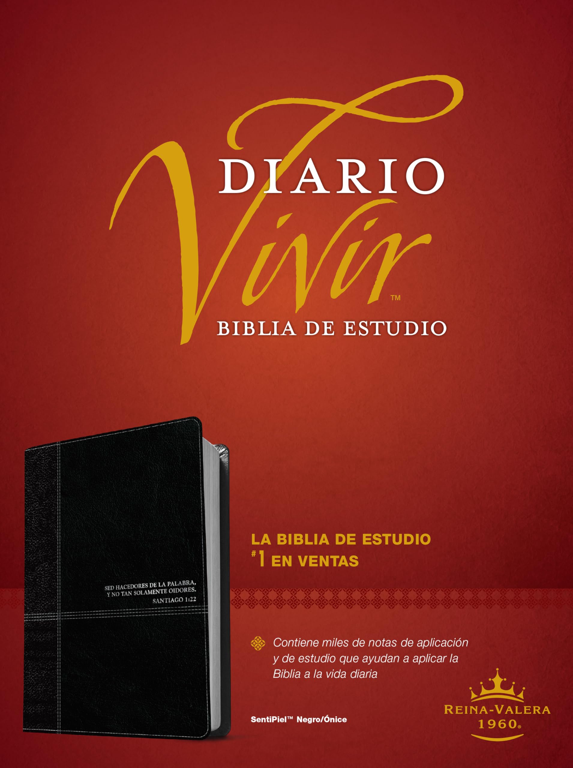 Biblia de Estudio del Diario Vivir Rvr60, Duotono Film, Art & Culture